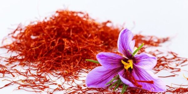 saffron4 saffron4